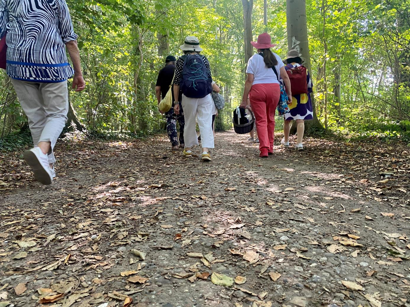 laufende menschen im wald